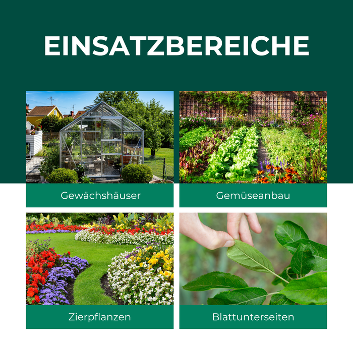 On peut voir une serre dans un jardin, un champ de légumes avec différents types de laitues, un jardin avec de nombreuses fleurs colorées et une main tenant une feuille. Une cime d'arbre verte, le tronc d'un prunier avec des fruits frais violets et beaucoup de prunes récoltées.