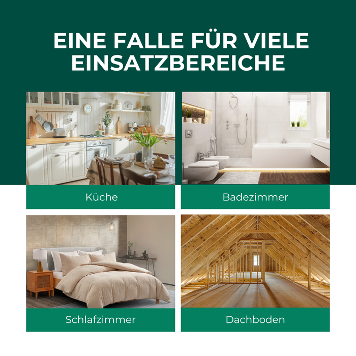 Piège à mites 6 pièces