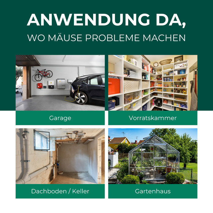 Piège vivant pour souris en fil de fer - Piège à souris - Alternative respectueuse des animaux aux pièges à pression et aux appâts empoisonnés