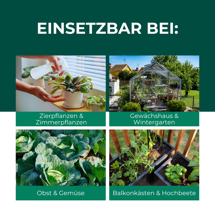 Larves de chrysopes contre pucerons, tétranyques, thrips, aleurodes