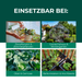 Florfliegenlarven gegen Blattläuse, Spinnmilben, Thripse, weiße Fliegen - Silberkraft