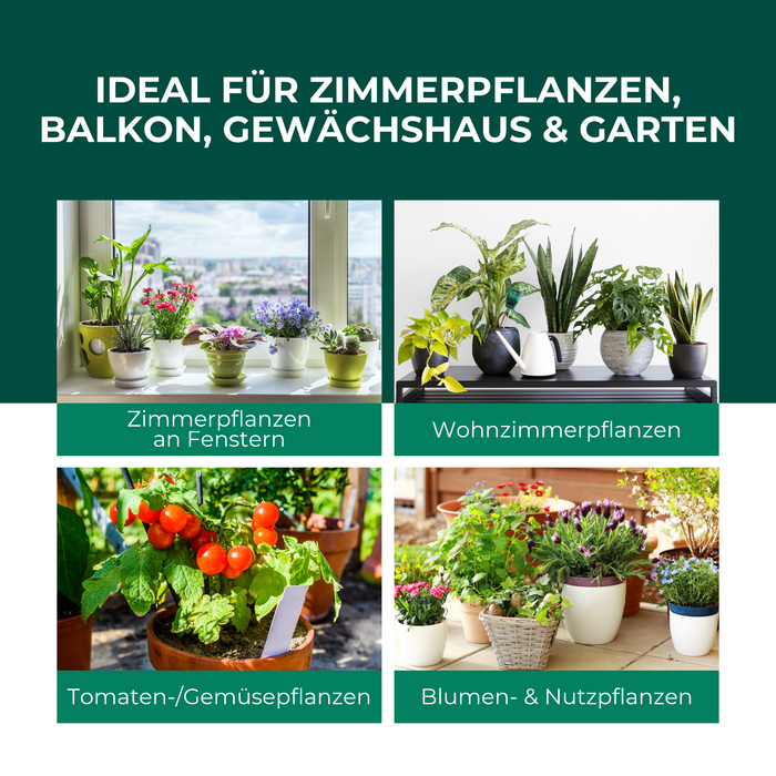 Piège jaune panneaux jaunes autocollants jaunes 12 pièces contre les mouches des fruits, les moucherons fongiques et bien plus encore.