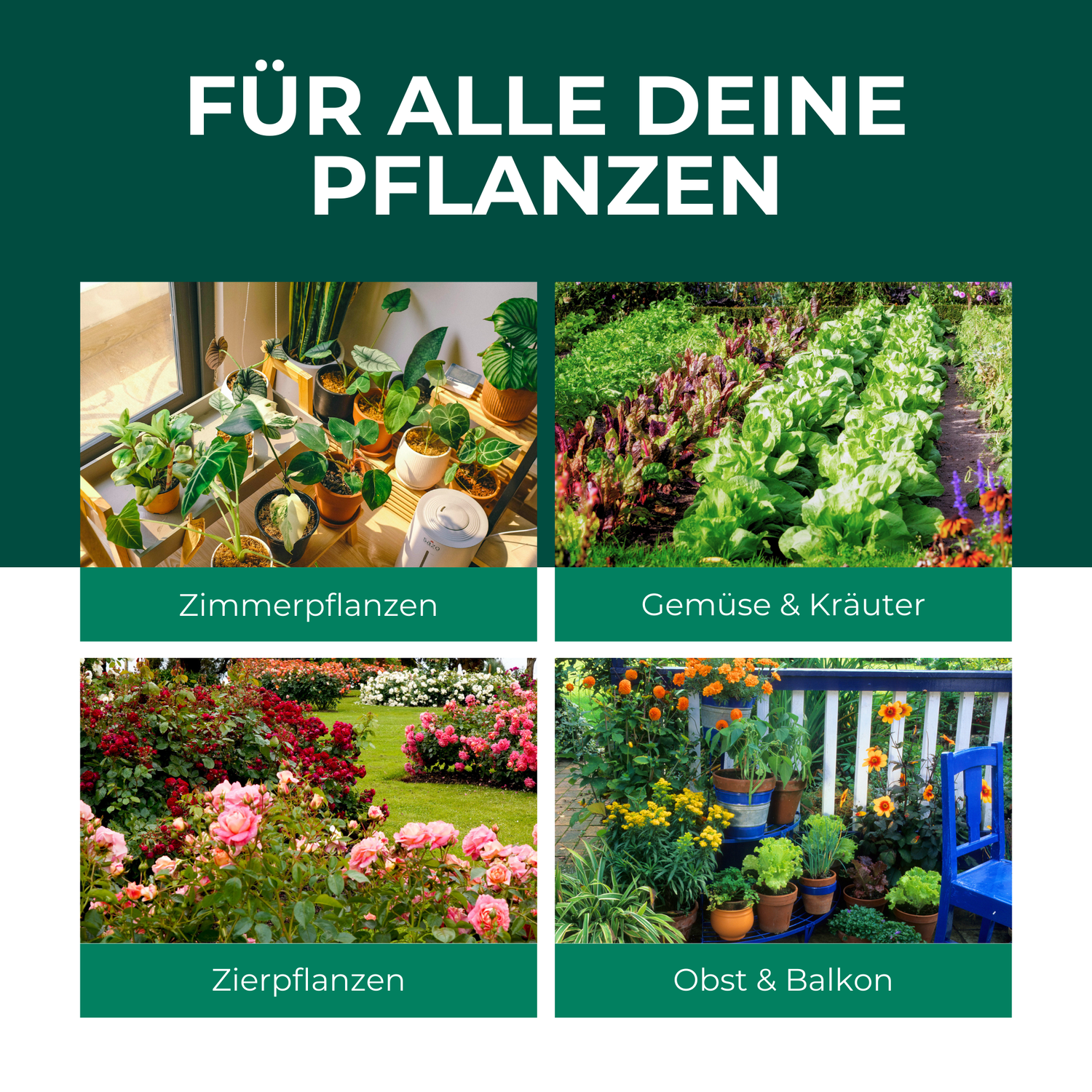 Huile de neem avec émulsifiant – Concentré d'huile de neem nourrissant pour vos plantes