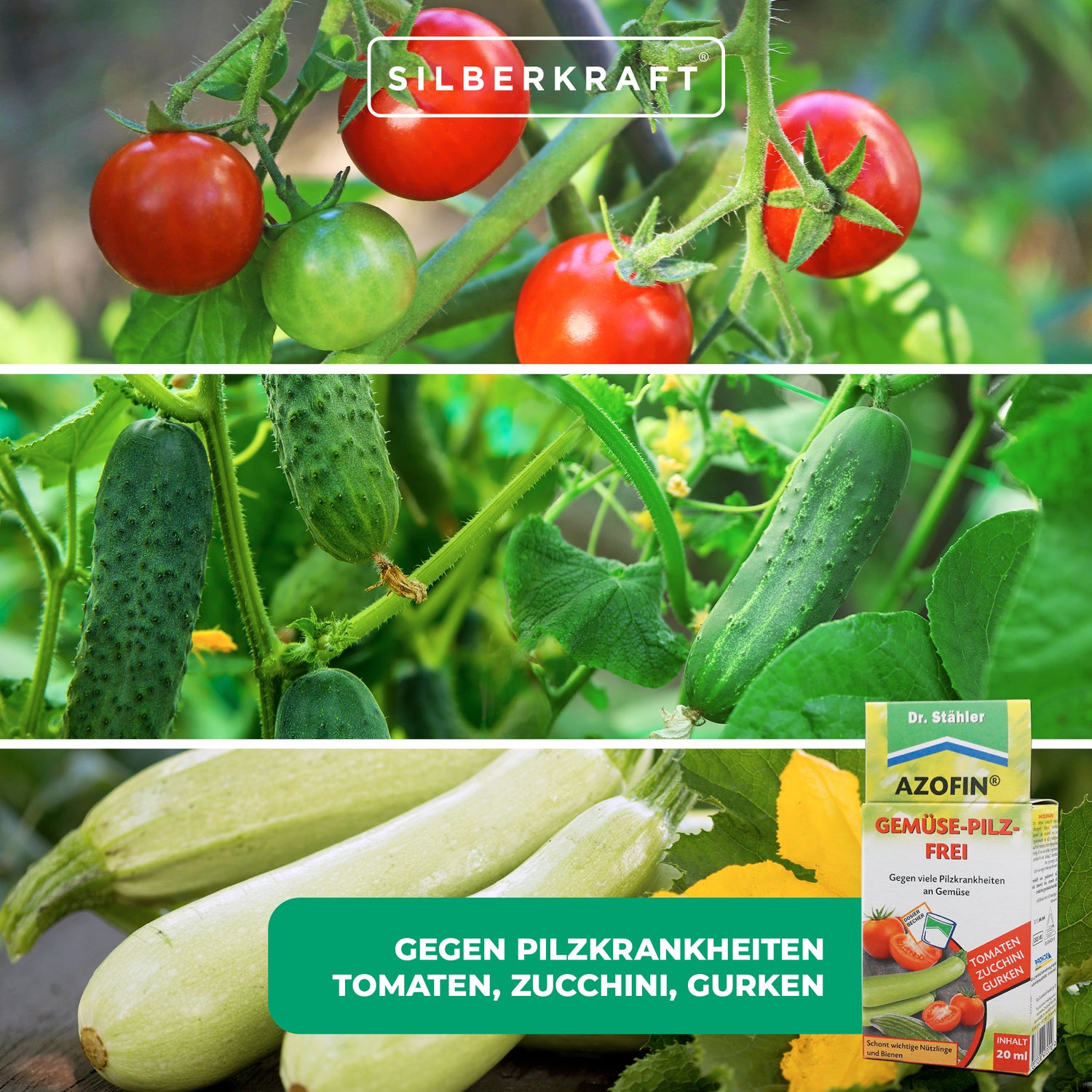 Azofin® Sans Légumes Et Champignons