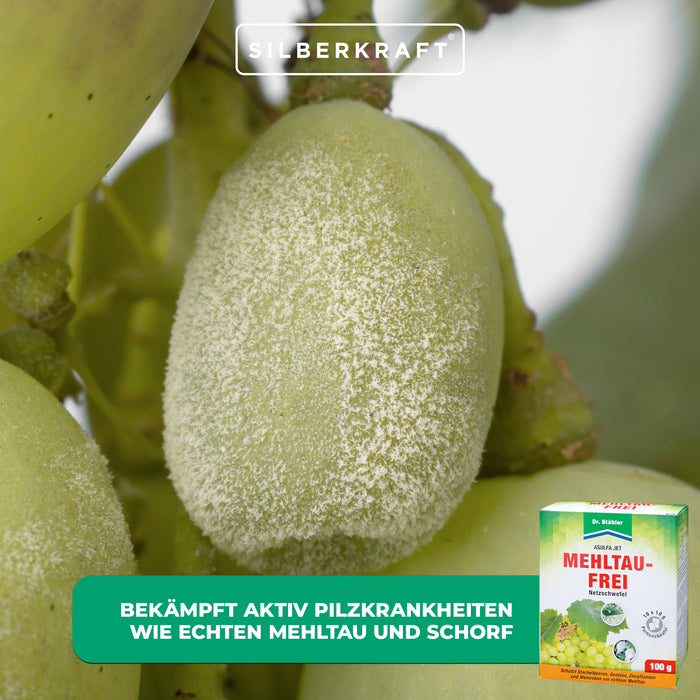 Asulfa® Jet Mildew-Free : protection fiable contre la moisissure et les acariens