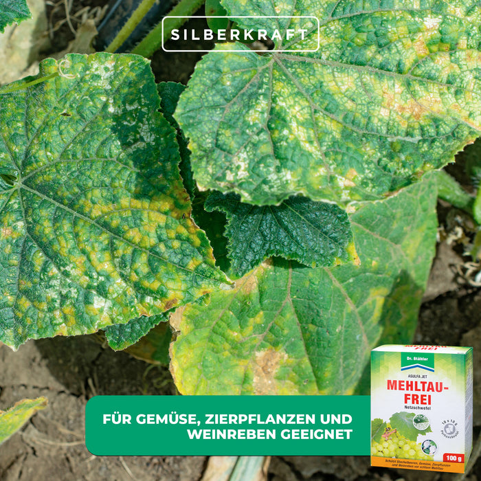 Asulfa® Jet Mildew-Free : protection fiable contre la moisissure et les acariens