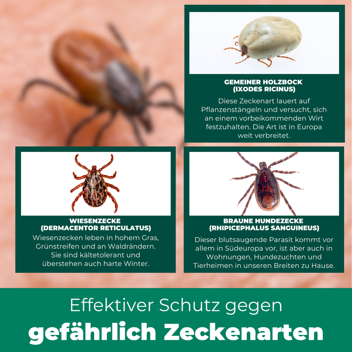 Pinces à tiques, forceps à tiques contre les tiques