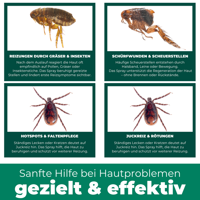 Spray de toilettage pour animaux de compagnie