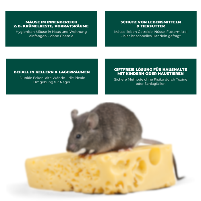 Piège vivant pour souris en fil de fer - Piège à souris - Alternative respectueuse des animaux aux pièges à pression et aux appâts empoisonnés