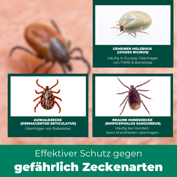 Zeckenspray Zeckenschutz - Anti Zecken Spray - Silberkraft