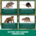 Rats, martres et rongeurs Ex Granules - Silberkraft