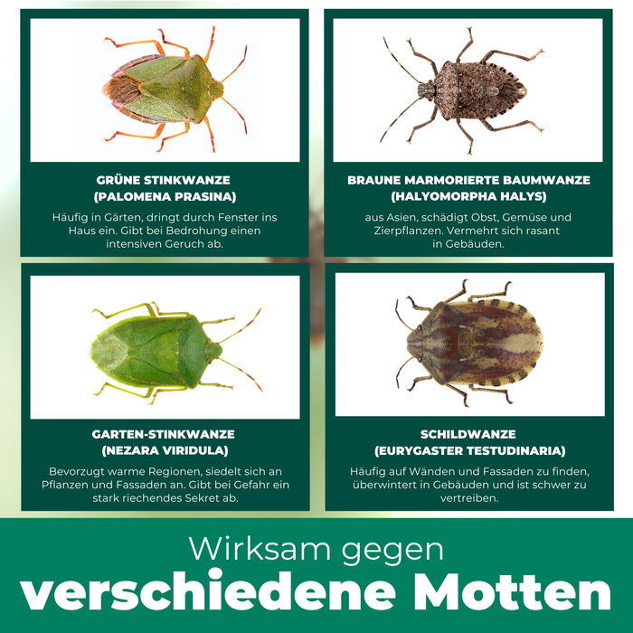 Silberkraft Stinkwanzenspray mit Text, der die verschiedenen Wanzenarten hervorhebt, gegen die das Produkt wirksam ist.