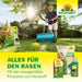 Améliorateur de sol en sable bentonite Neudorff - Silberkraft