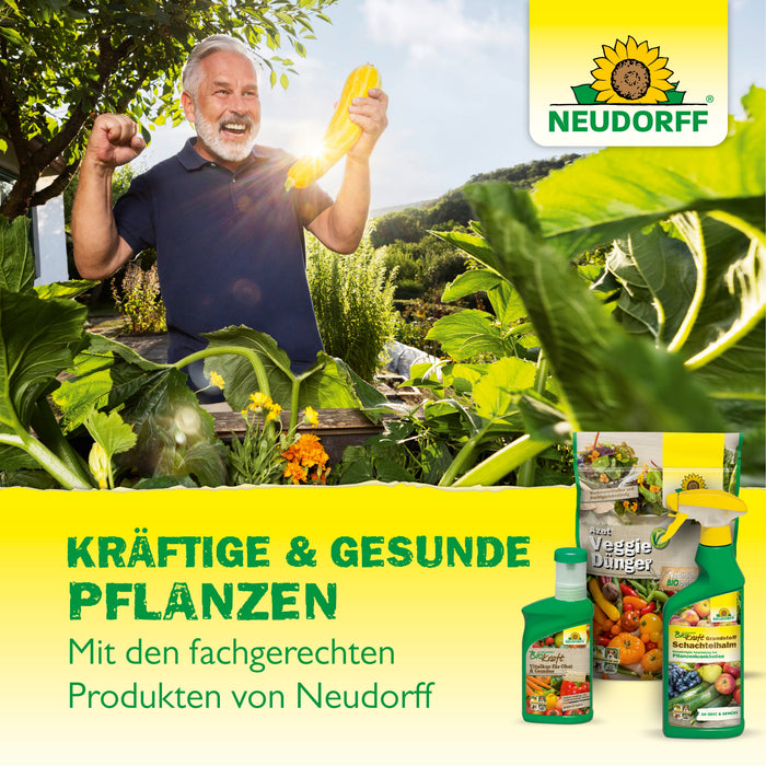 Neudorff Neudofix RootActivator - Silver Power