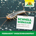 Spray d'ambiance permanent contre les insectes Neudorff - Silberkraft