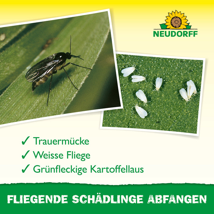 Autocollants jaunes Neudorff - Silberkraft