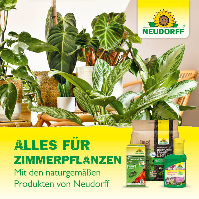 Autocollants jaunes Neudorff - Silberkraft