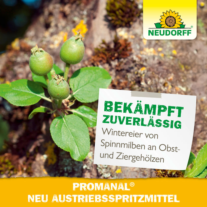 Neudorff Promanal Nouveau spray de germination - Silberkraft