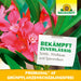 Neudorff Promanal AF Plantes vertes sans parasites - Silberkraft