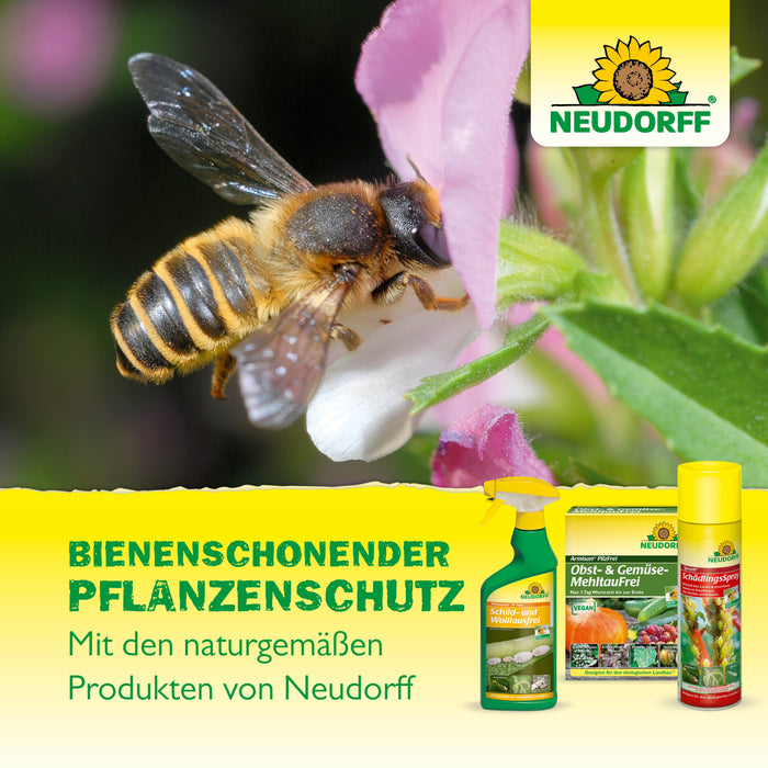 Neudorff Neudosan AF New Puceron Gratuit - Silberkraft