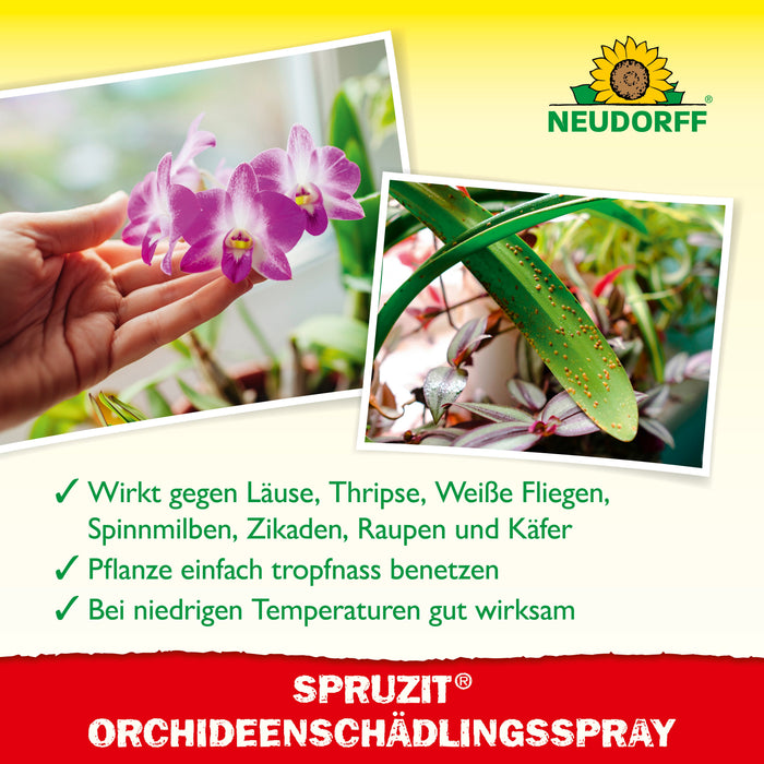 Neudorff Spruzit AF Orchidée Pest Free - Silberkraft