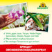 Neudorff Spruzit AF Orchidée Pest Free - Silberkraft