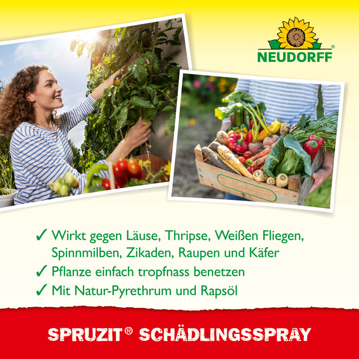 Spray antiparasitaire Spruzit