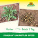 Neudorff Finalsan WeedLos Speed ​​​​- Silberkraft