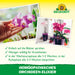 Neudorff Elixir d'Orchidée Homéopathique - Silver Power
