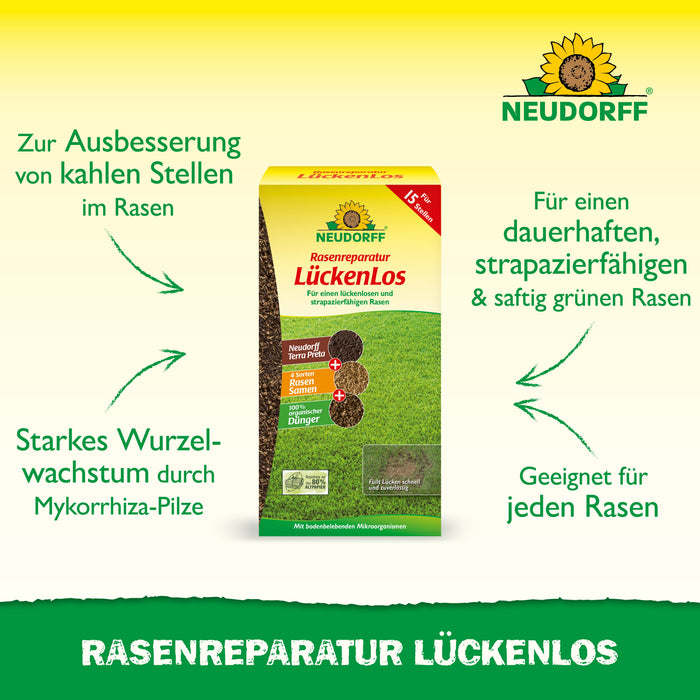 Neudorff Réparation de pelouse GapsLos - Silberkraft