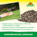 Neudorff Réparation de pelouse GapsLos - Silberkraft