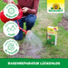Neudorff Réparation de pelouse GapsLos - Silberkraft