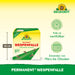 Piège à guêpes permanent Neudorff - Silberkraft