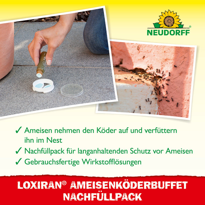 Recharge buffet d'appâts pour fourmis Neudorff Loxiran - Silberkraft