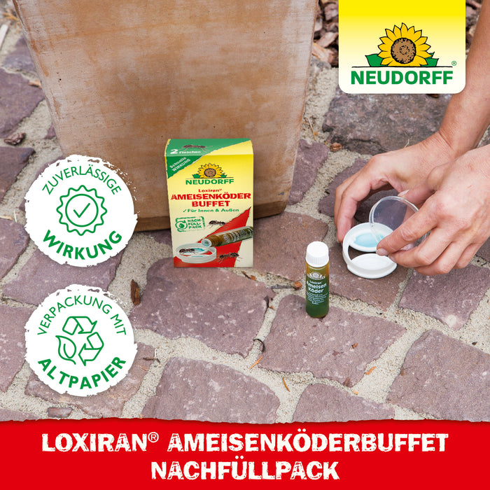 Recharge buffet d'appâts pour fourmis Neudorff Loxiran - Silberkraft