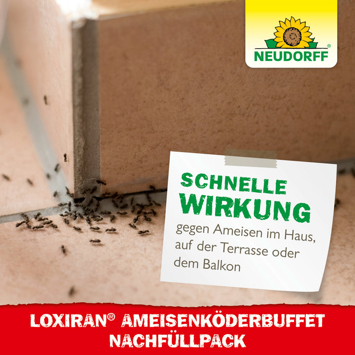 Recharge buffet d'appâts pour fourmis Neudorff Loxiran - Silberkraft