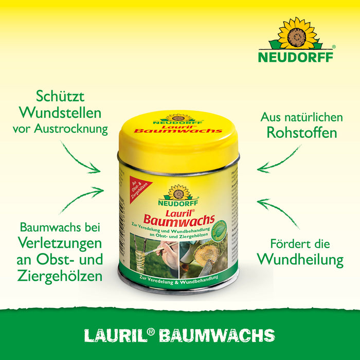 Cire de laurier Neudorff - Silberkraft