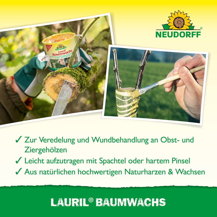 Cire de laurier Neudorff - Silberkraft