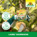 Cire de laurier Neudorff - Silberkraft