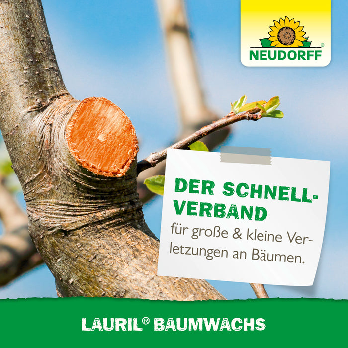 Cire de laurier Neudorff - Silberkraft