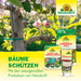 Cire de laurier Neudorff - Silberkraft