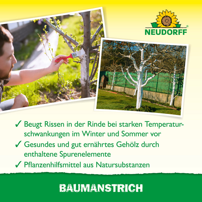 Peinture pour arbre Neudorff - Silberkraft