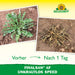 Neudorff Finalsan AF WeedLos Speed ​​​​- Silberkraft