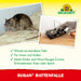 Piège à rats Neudorff Sugan - Silver Power