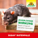 Piège à rats Neudorff Sugan - Silver Power