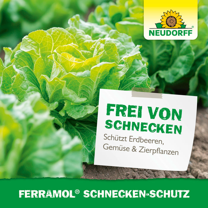 Protection contre les escargots Neudorff Ferramol - Silberkraft