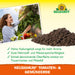 Neudorff NeudoHum Terreau pour tomates et légumes - Silberkraft