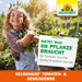 Neudorff NeudoHum Terreau pour tomates et légumes - Silberkraft