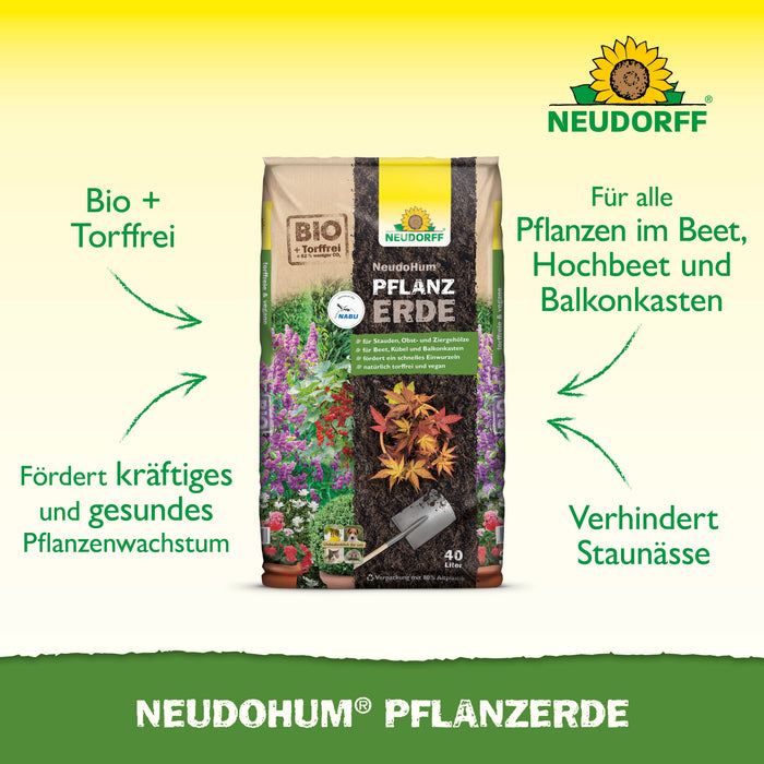 Terreau de plantation Neudorff NeudoHum - Silberkraft