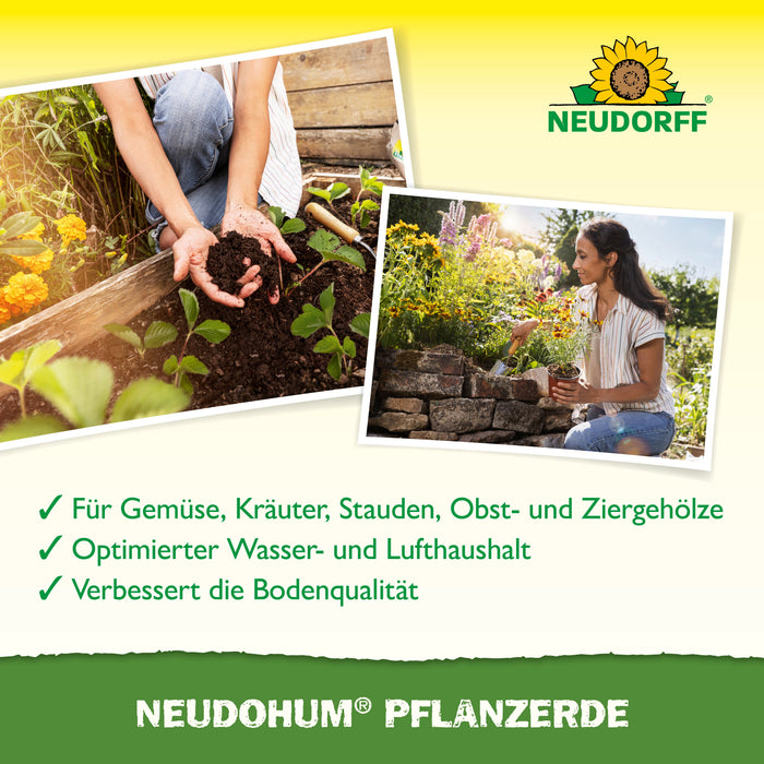 Terreau de plantation Neudorff NeudoHum - Silberkraft
